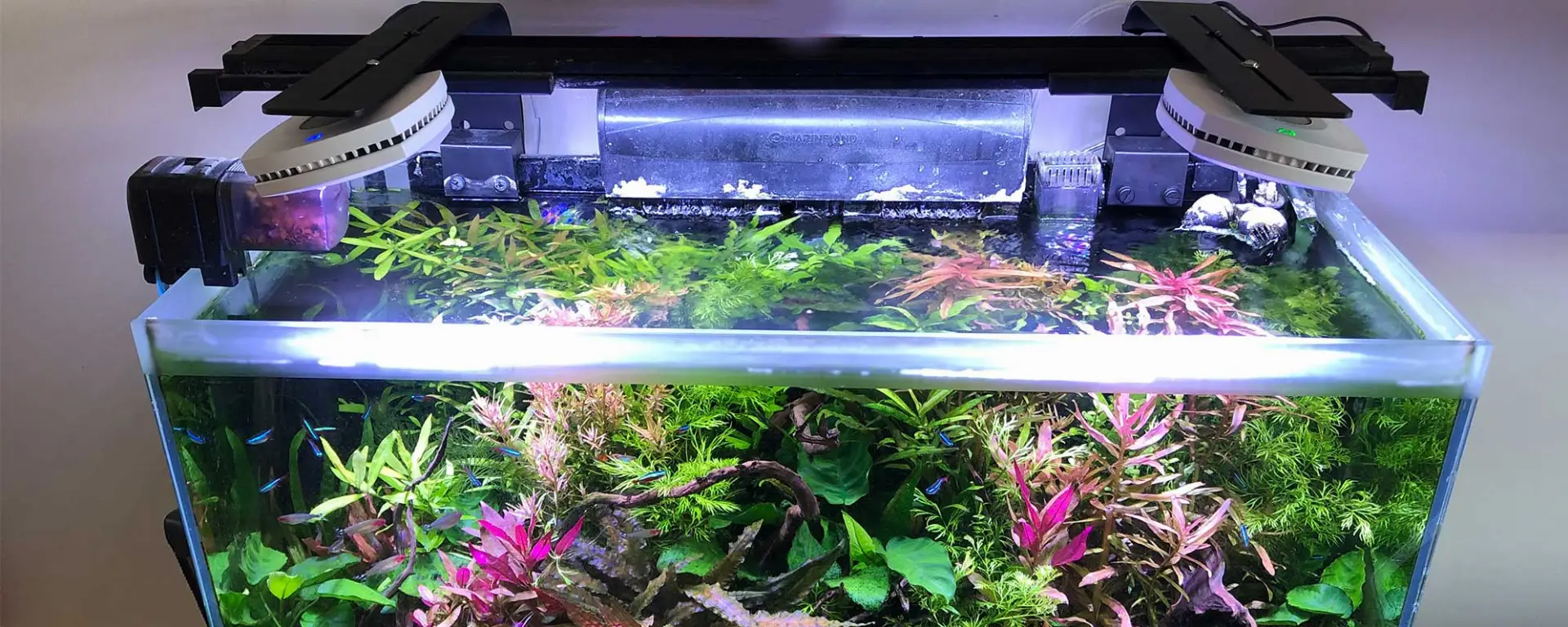 Lighting for Planted Aquariums
