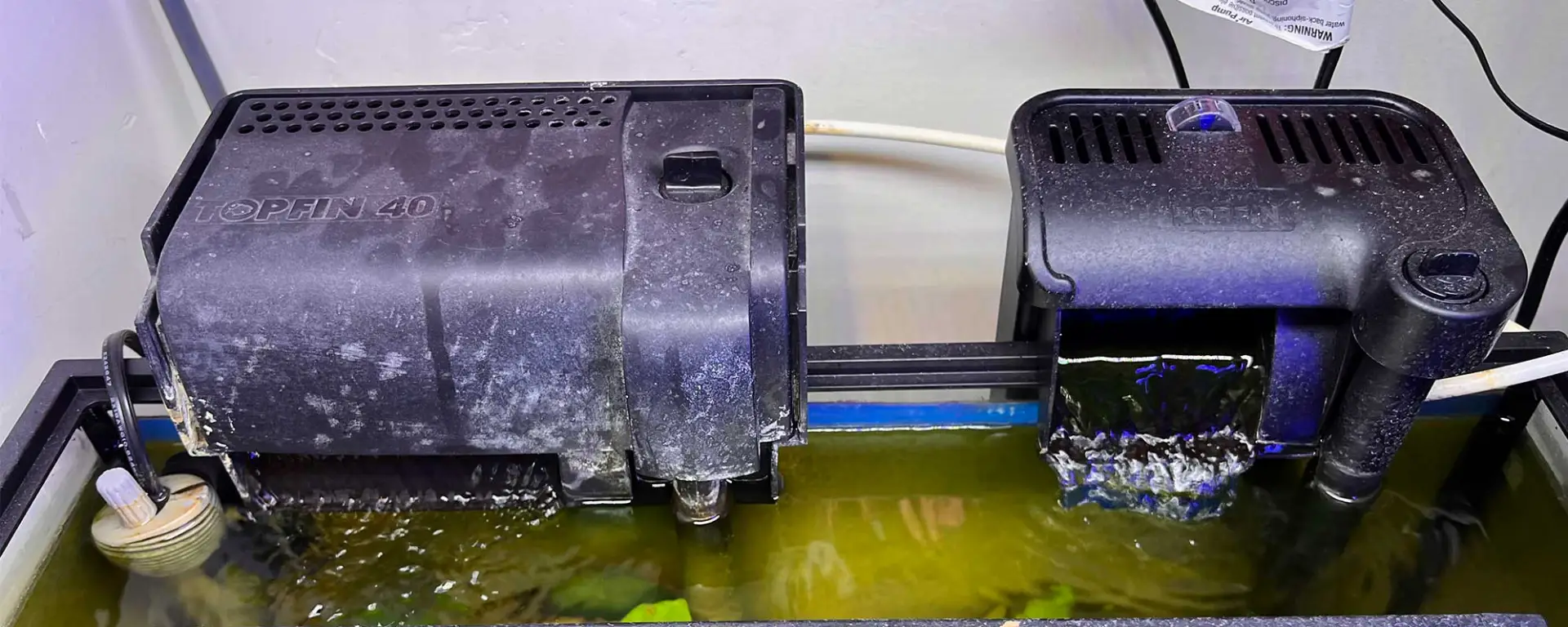 Filtration Systems for Aquariums