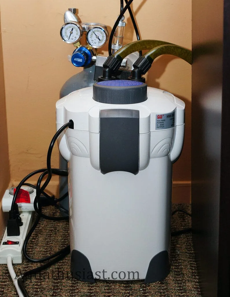 How to Choose the Right Filter for Your Aquarium Size