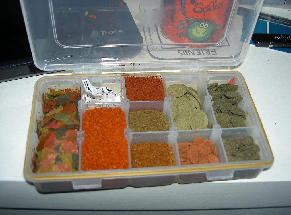 What to Feed Your Aquarium Fish – A Complete Nutrition Guide