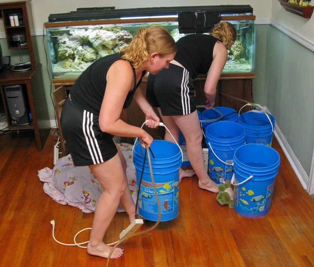 Water Change