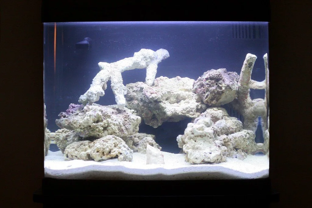 BioCube Week One