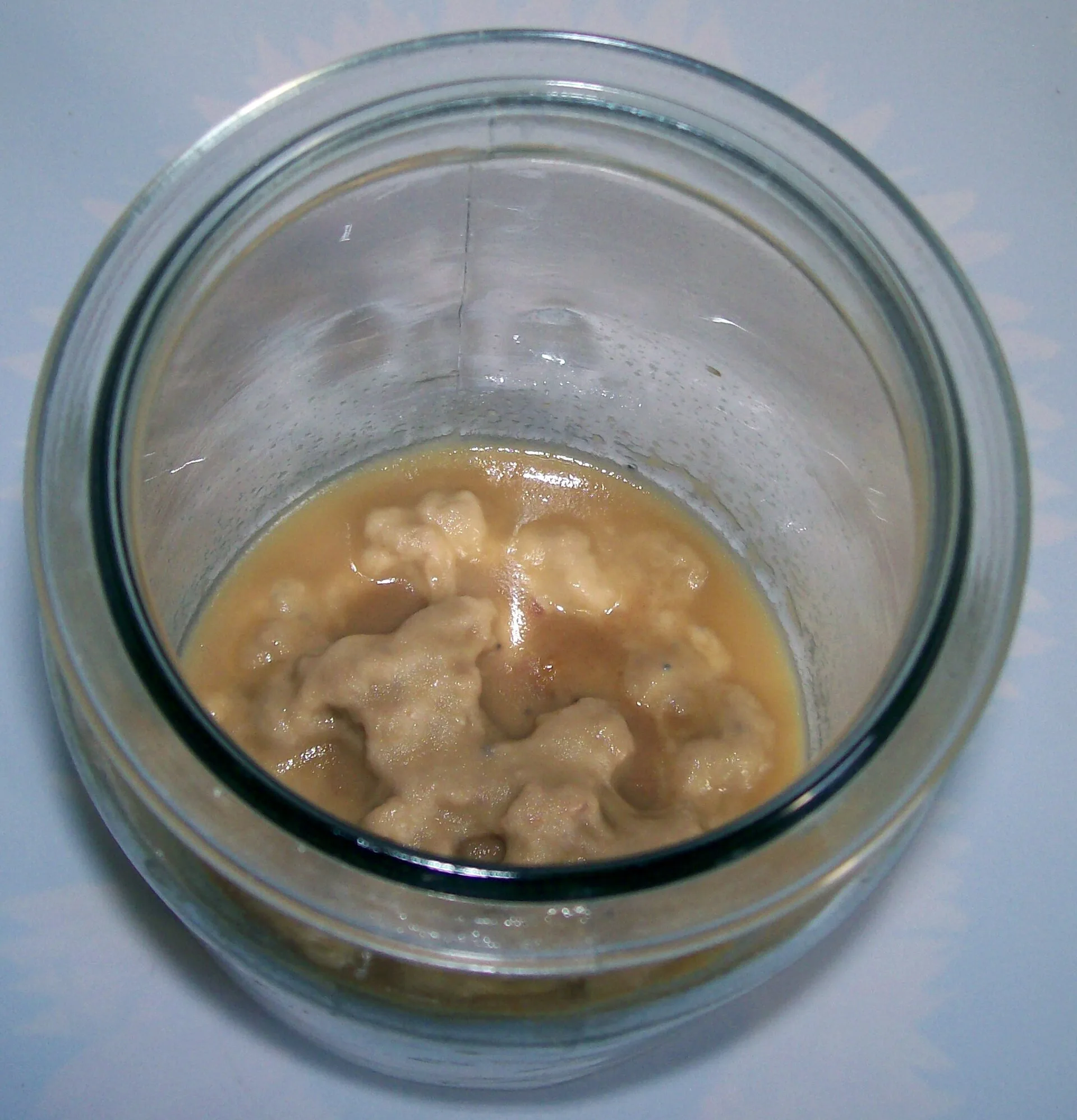 Microworms as Live Food