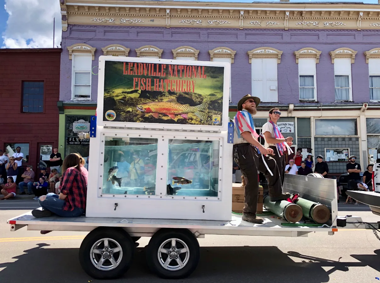 How to Move an Established Aquarium