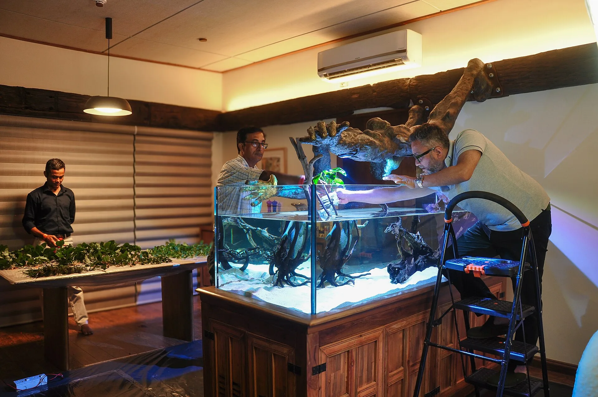 Using Negative Space in Aquascapes