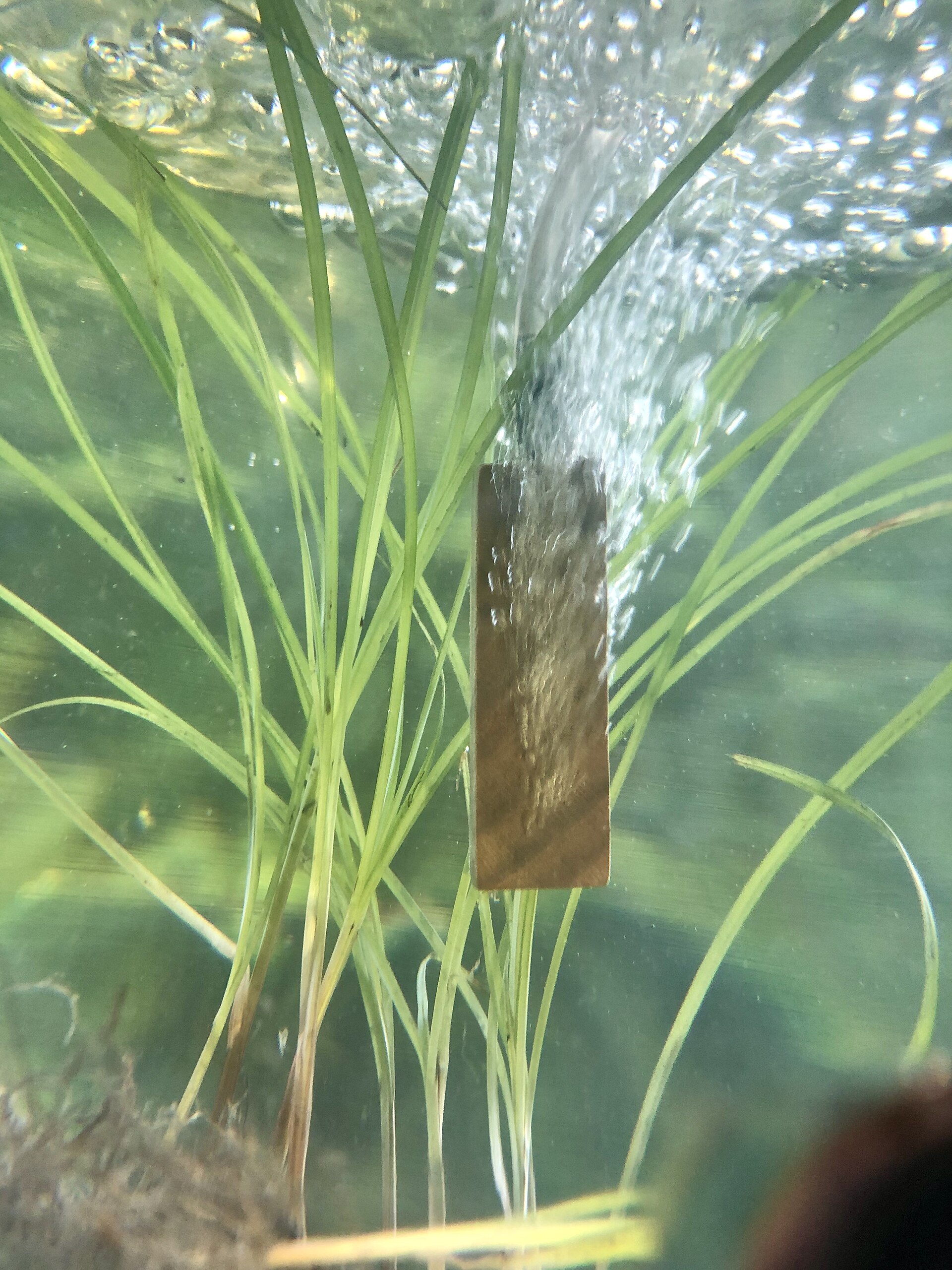 Aquarium air diffuser / air stone