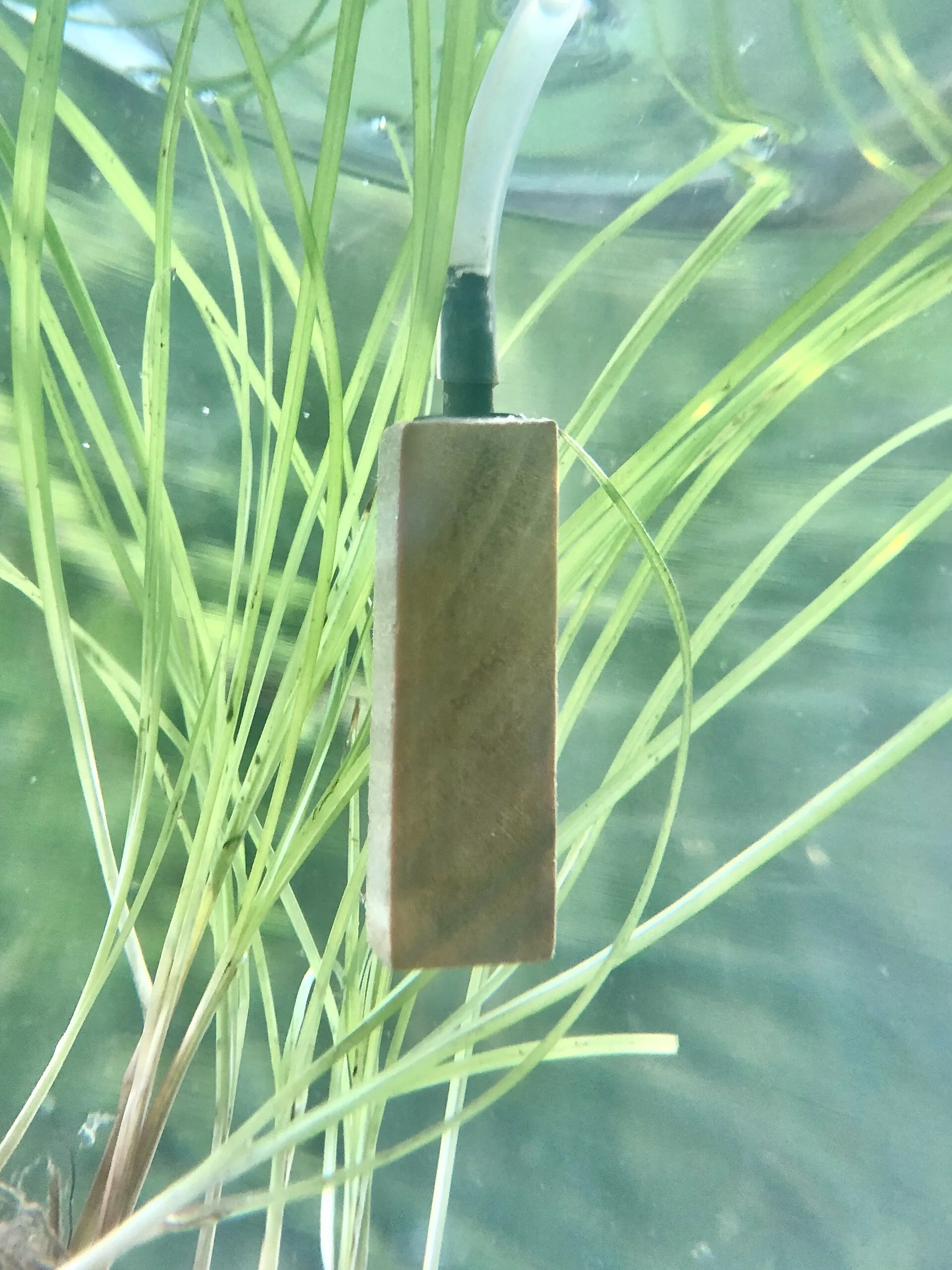 Aquarium air diffuser for oxygenation