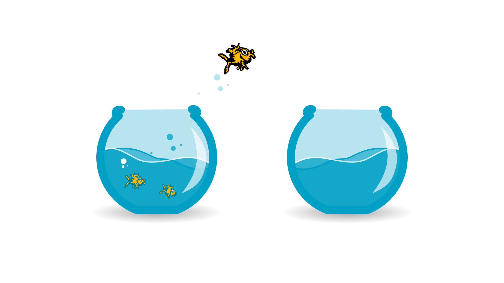 Goldfish jumping between aquarium bowls
