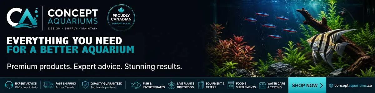Concept Aquariums