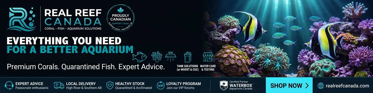 Real Reef Canada